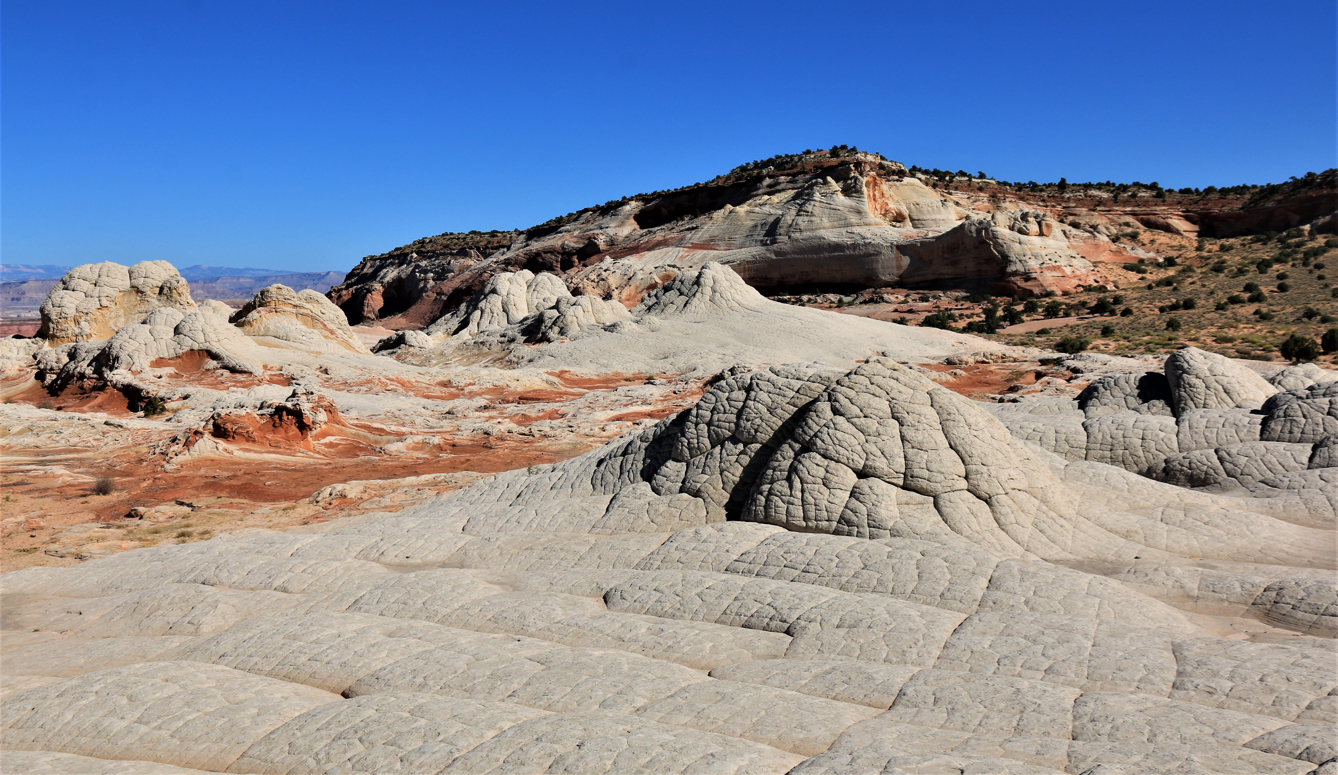 Vermillion Cliffs NM